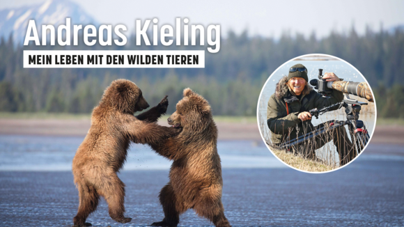 Andreas Kieling - Mein Leben mit den wilden Tieren - Tour 2025